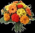 fleurs et nature (131)